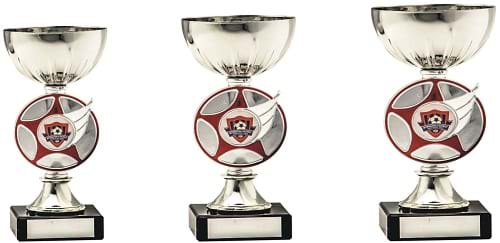 Silver and Red Trophy Awards 1879 Series